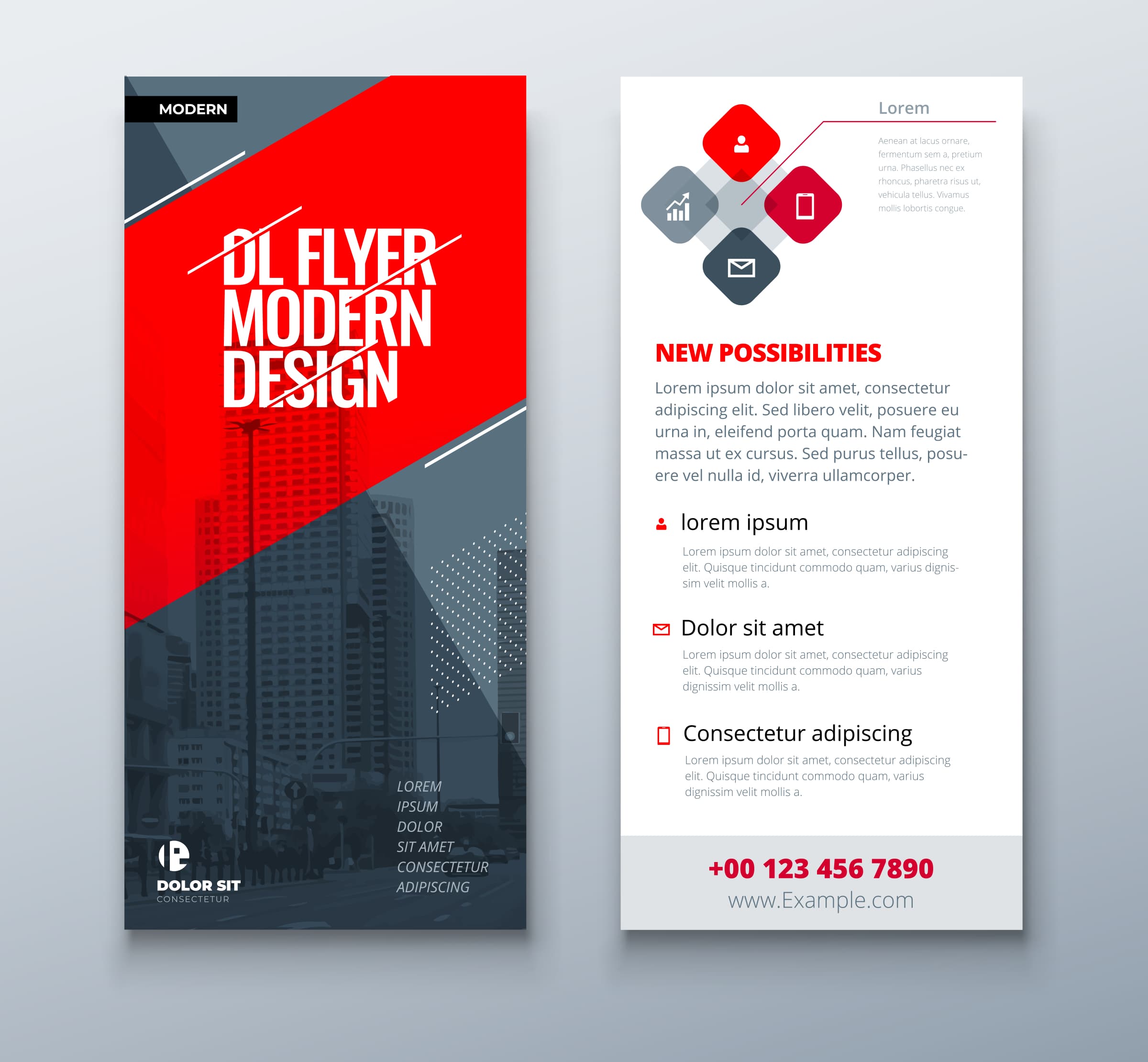 DL Cards - Double Sided Flyer